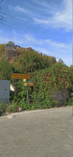 IMG 20260920 090327.jpg