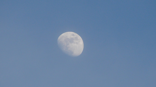 DSC04615.jpg