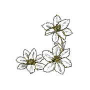 MS-gold-element-69