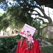 IMG 7417