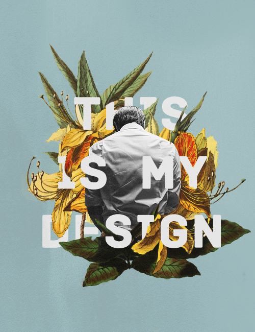 heyjaybird @ tumblr