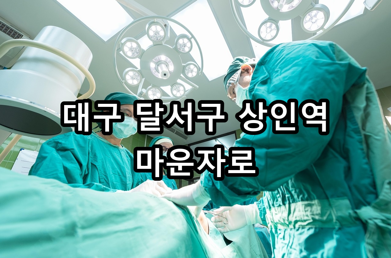 대구 달서구 상인역 마운자로 안내