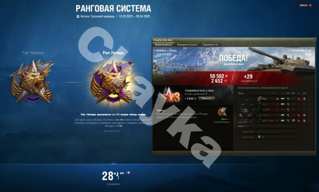 2870.jpg