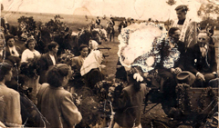 942m.jpg