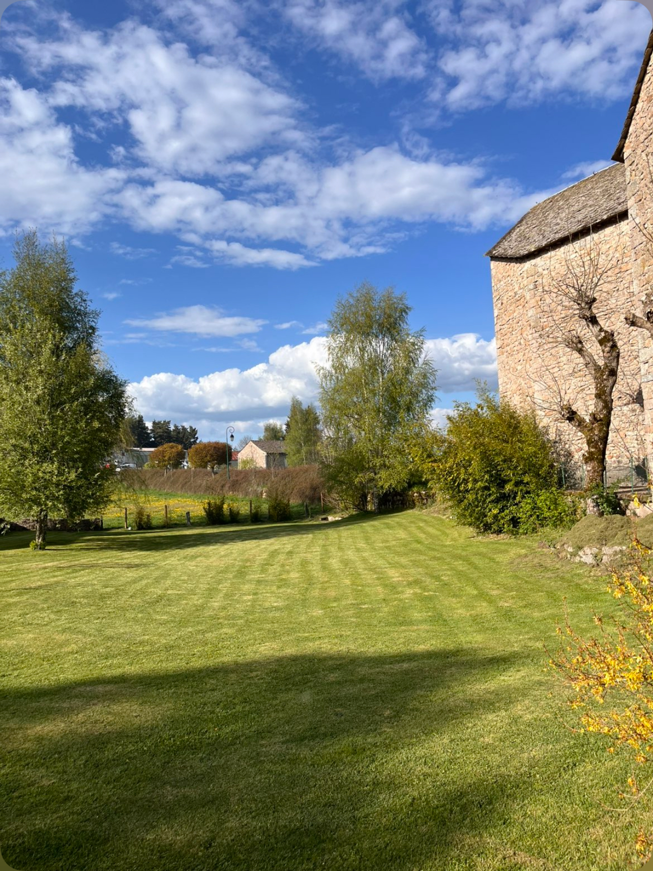 Tonte de pelouse et entretien de jardin en Lozère par Aurélien jardinier professionnel