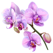 b52f20563f107cf5ff818bea558cd8c6