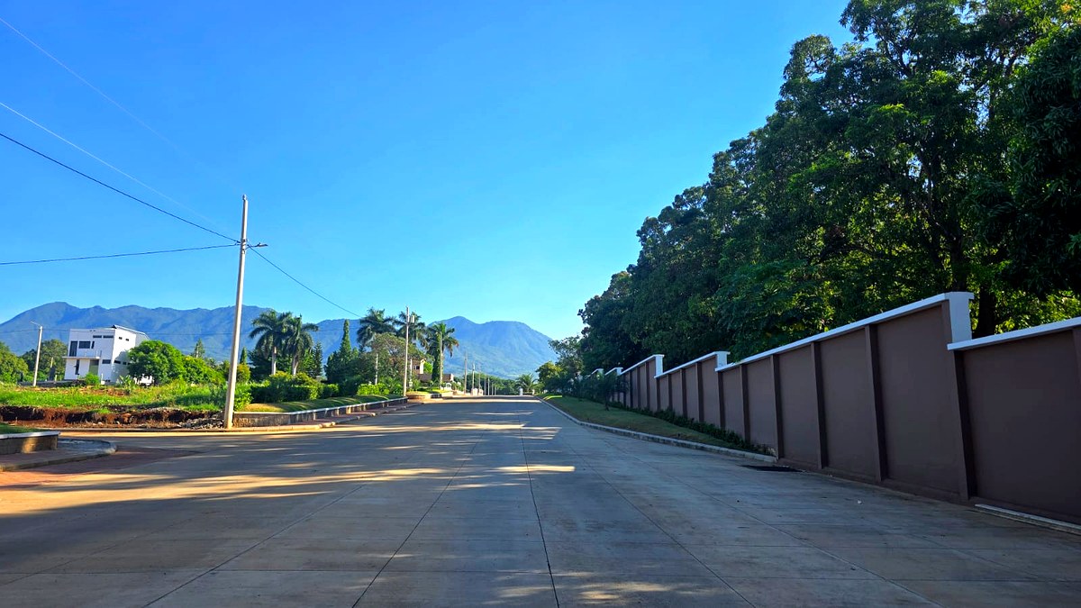 Boulevard principal del proyecto