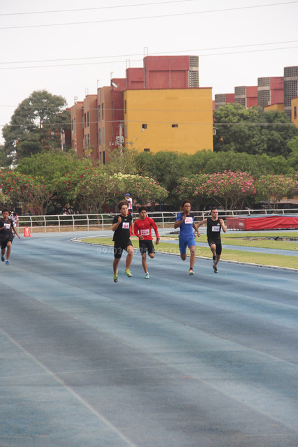 IMG-0154.jpg