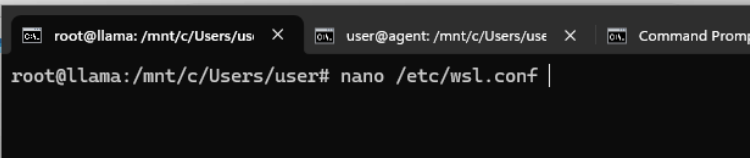 14-wsl-hostname.png