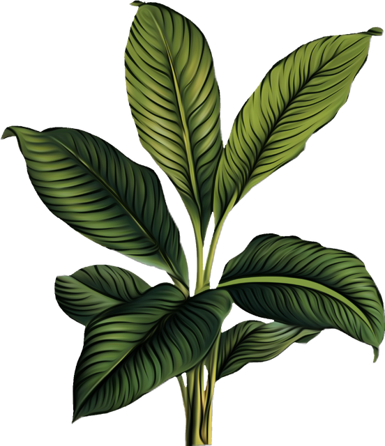 f8061dc0229f095970fd48b1af53bccb.png