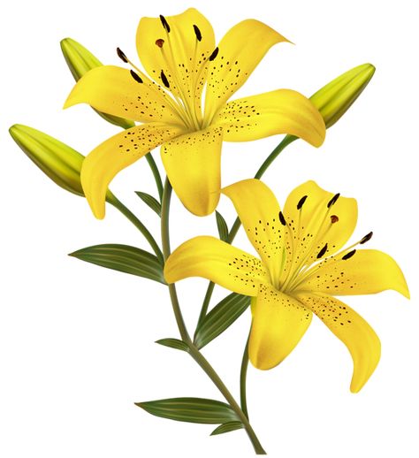 flowers.jpg