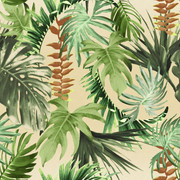 Pattern (31)
