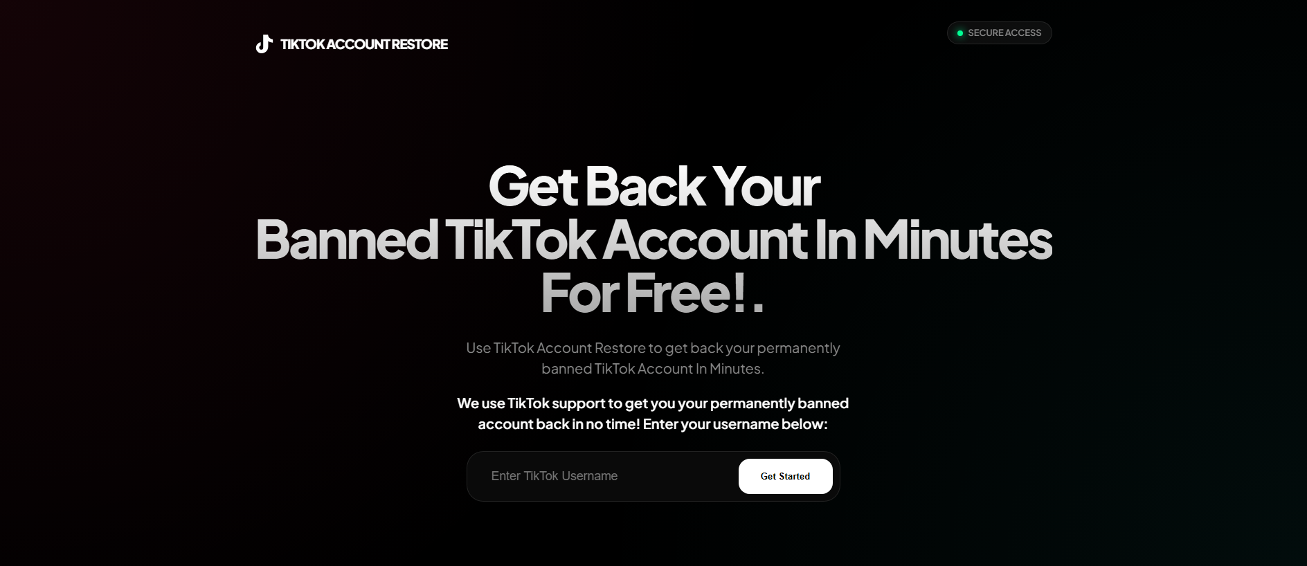 Forensic screenshot of [REDACTED] showing the phishing page layout