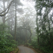 Pena Park2 (2)