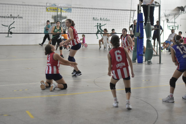 EMA6478.jpg