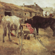 Волы 1885