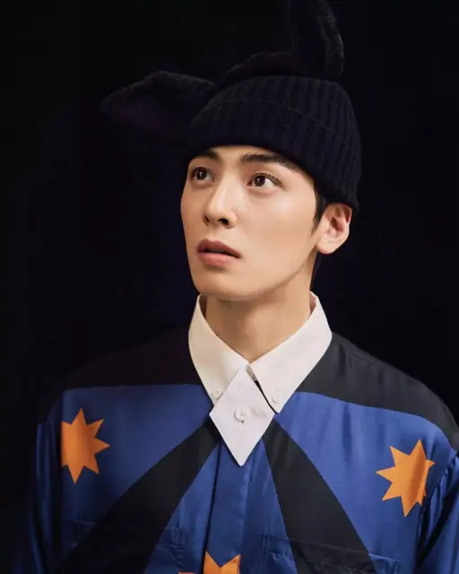 cha eun woo 1246944