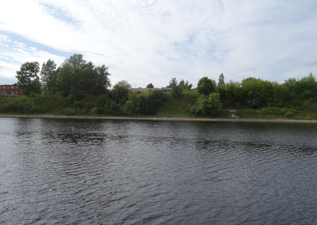 DSC06386-5.jpg