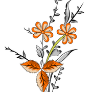05 (1)