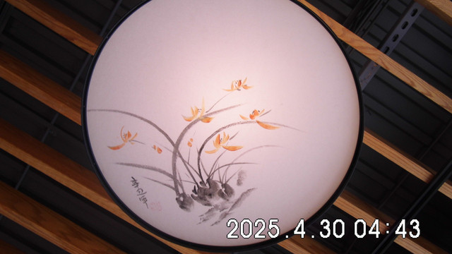 DSCI0100