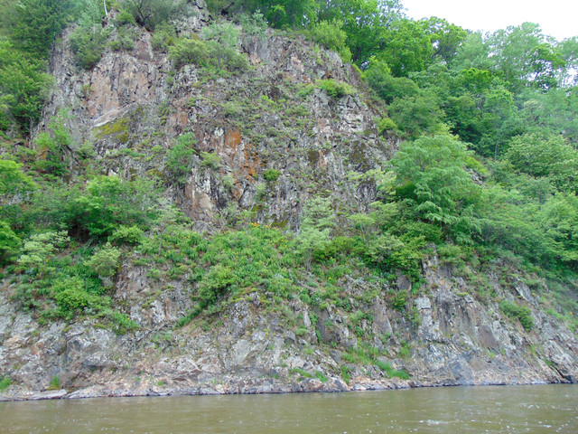 DSC05830.jpg