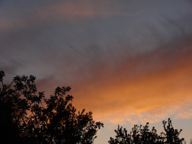 DSC04633.jpg