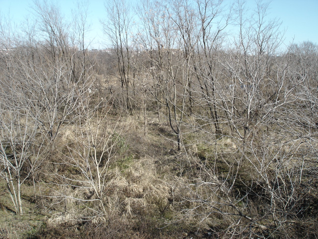 2012-01-06-232.jpg