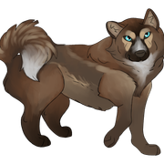 sled-dog-1