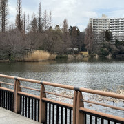 IMG-2649