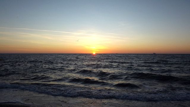 DSCF9843