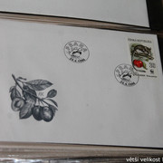 IMG-2530