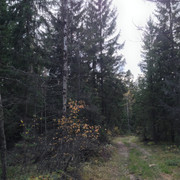 IMG-4412