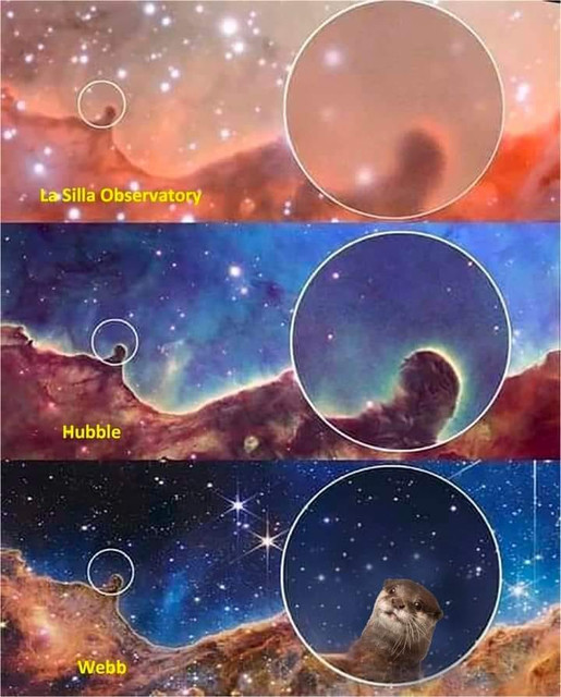 otterviewspace.jpg