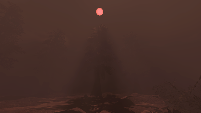 Pelagia4