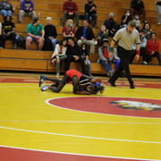 IMG-0390