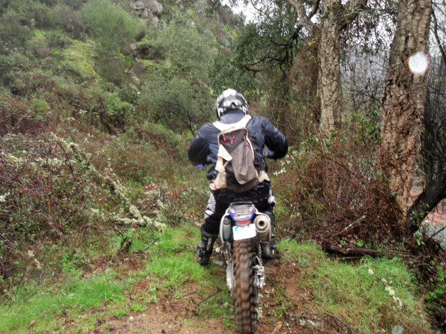 DSCF1217.jpg