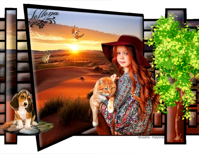 desert-cheryl