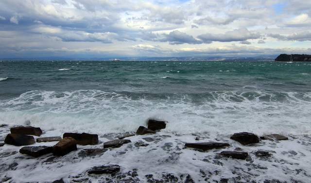 IMG-9843.jpg