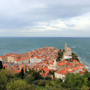 IMG-9796