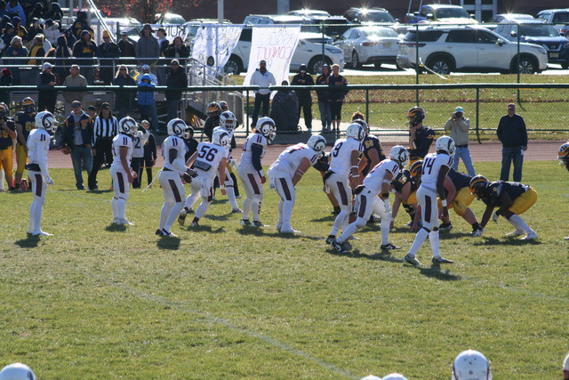 IMG-2833.jpg