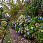 IMG-6889