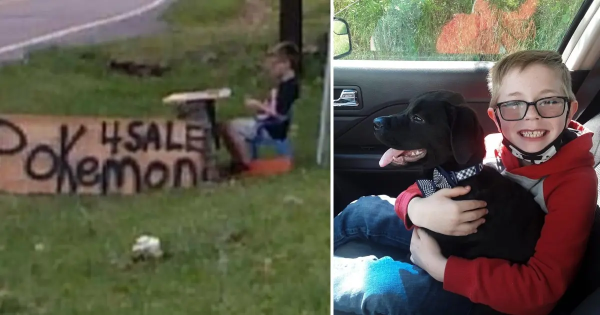 Boy Sells Cards to Help Beloved Puppy