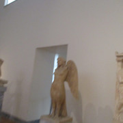IMG-7307