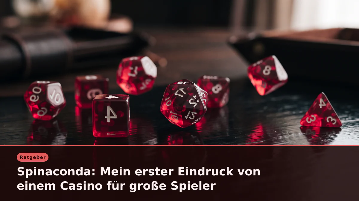 Spinaconda: Mein erster Eindruck von einem Casino für große Spieler