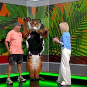 IMG 6306