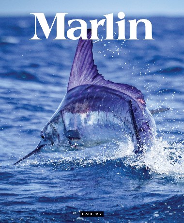 [Obrazek: Marlin-September-October-2026.jpg]