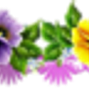 0-991a6-c170d5b6-M