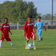 IMG 7684