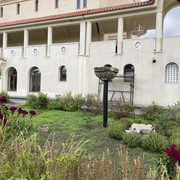 IMG 0335
