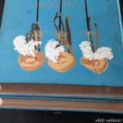 IMG-8329